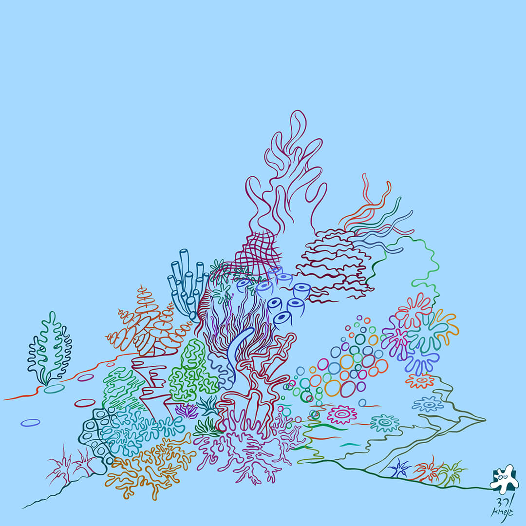 שונית האלמוגים -6